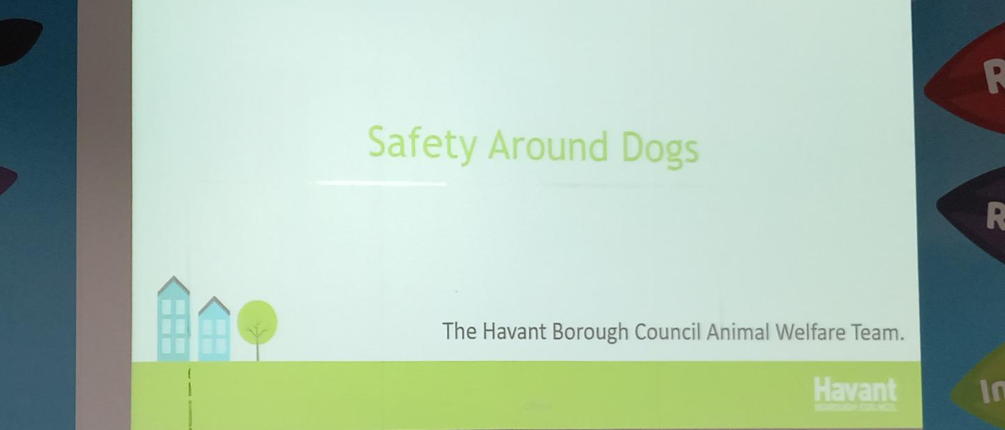 Educational school talks about dog safety and responsible pet ownership